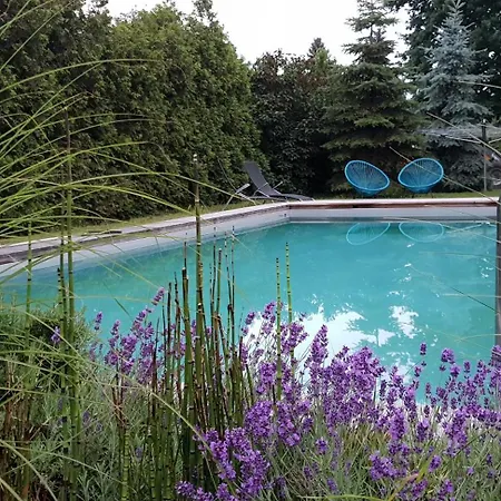 Appartement Elbauenblick