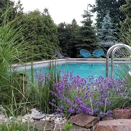 Elbauenblick Appartamento